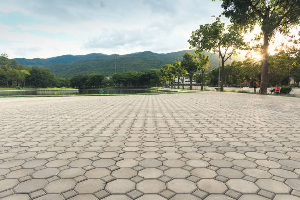 Best Residential Driveway Paver Services  in Pierre Part, LA